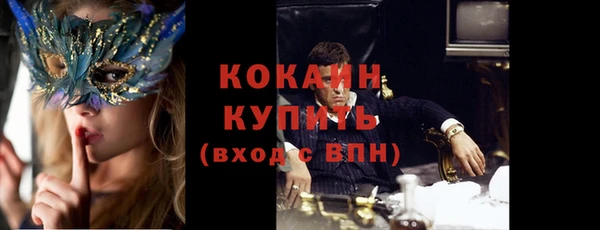 прущие грибы Елизово