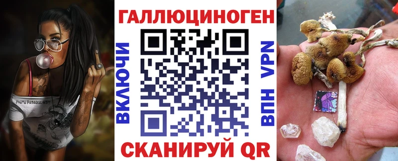 Псилоцибиновые грибы Psilocybine cubensis  Красноперекопск 