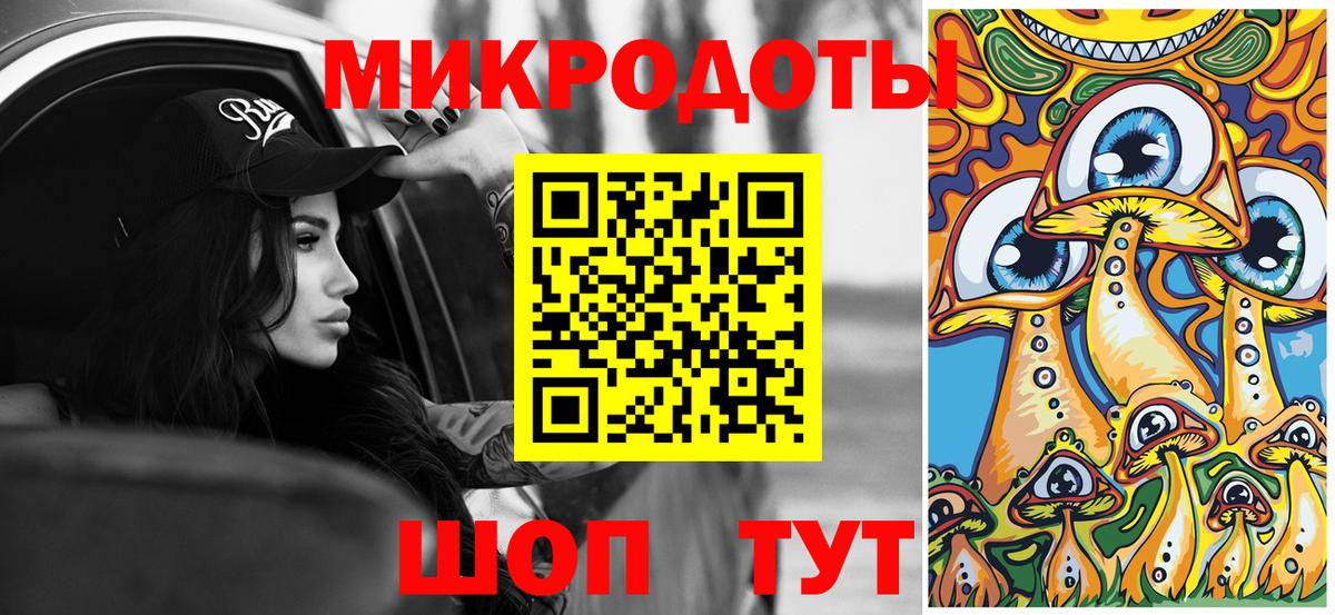 Галлюциногенные грибы Psilocybe Красноперекопск