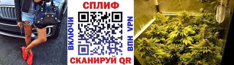 Конопля семена  Красноперекопск 